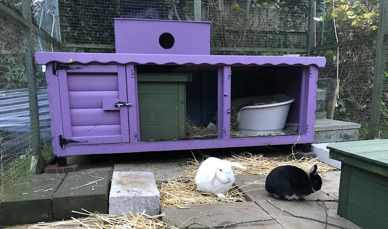Ryedale Pet Homes