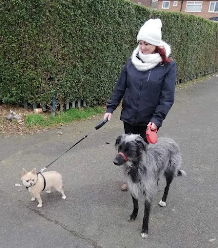 Sandy Paws Doggy Daycare and Boarding