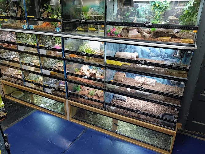 Seaham Pets Gardens & Reptiles Ltd