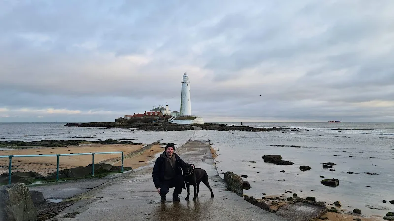 Sit Play Stay Dog Walking & Home Boarding in Whitley Bay