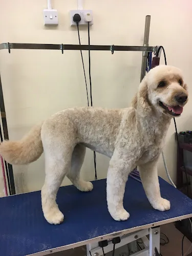 Smart Pets Grooming