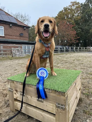 The Dog Log