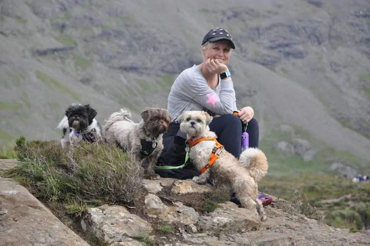 The Mutts Nutts Dog Grooming