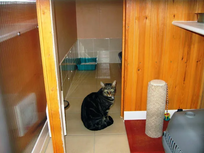 Todhills Cattery
