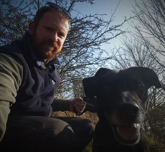 toondogwalkies