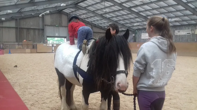 Tranwell Equestrian