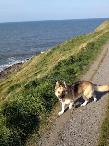 Wagging Tails Dog Walking & Wedding Chaperone