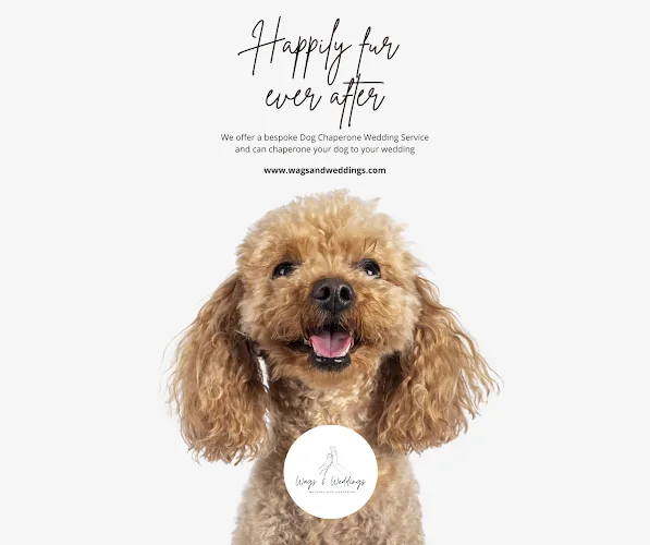 Wags and Weddings