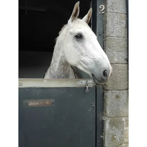 West House Farm Stables