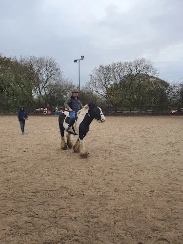 Westacres Equestrian