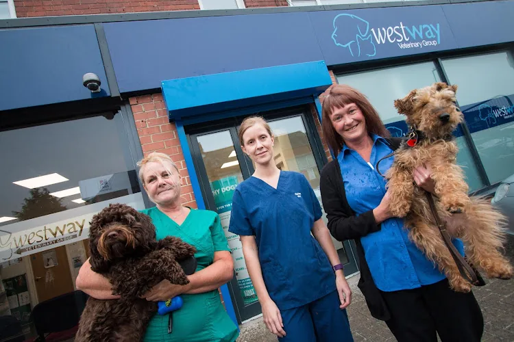 Westway Veterinary Group, Houghton