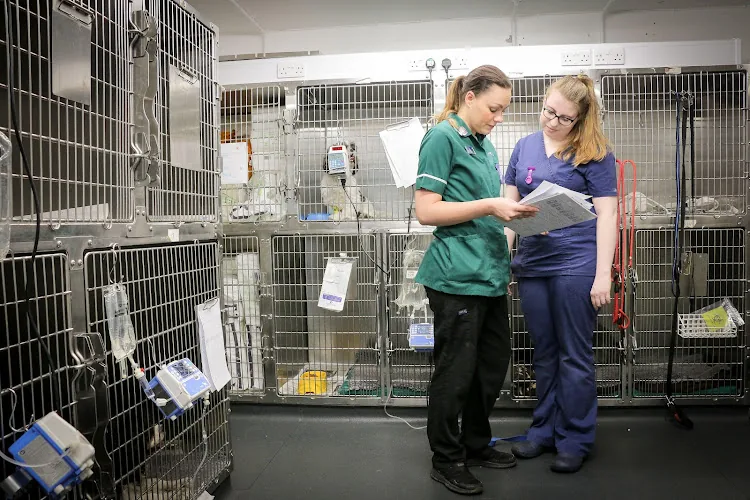 Westway Veterinary Group, Leam Lane