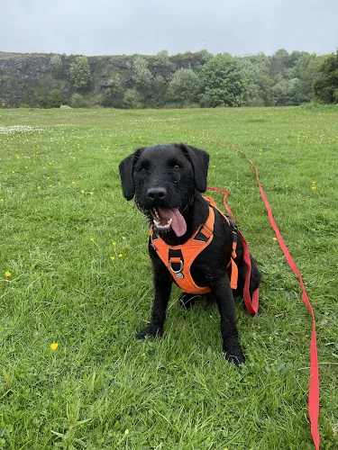 Woody's Walks